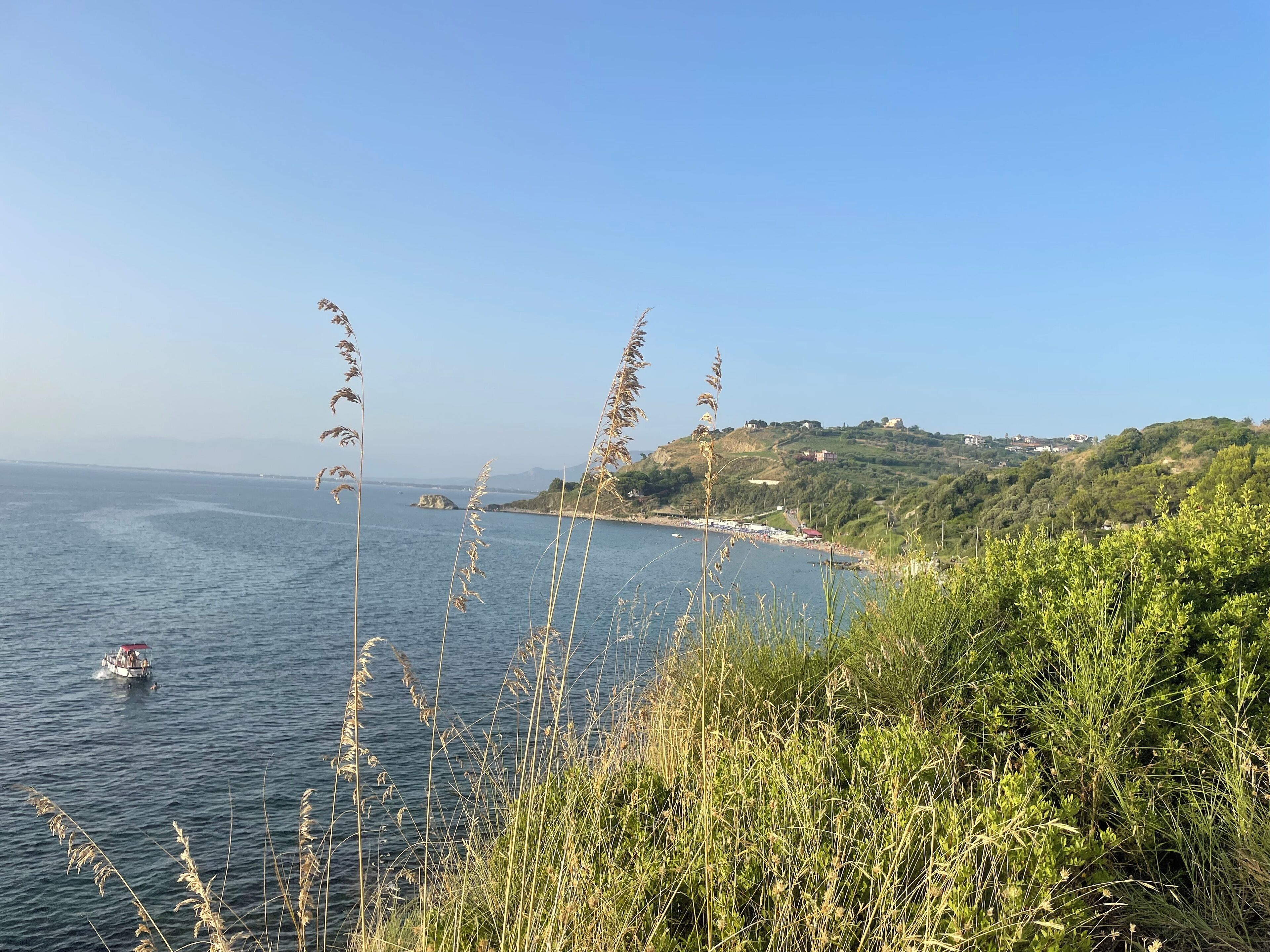 A coastal landscape with a boat on the water, grassy vegetation, and a hilly background with buildings.