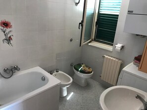Hair dryer, bidet, towels, soap