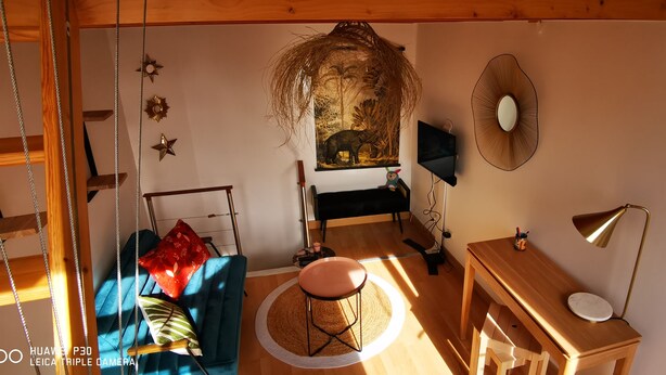 Une pièce chaleureuse avec un canapé bleu, une petite table ronde, un bureau en bois et une plante suspendue.