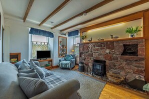 Smart TV, fireplace, DVD player, stereo