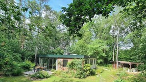Un chalet rustique entouré d’une forêt dense, avec une terrasse et un petit abri de jardin.