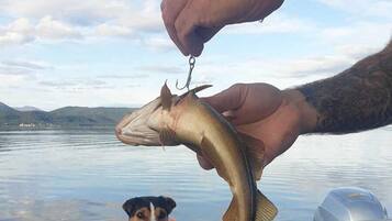 Fiske