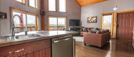 TV, fireplace, books