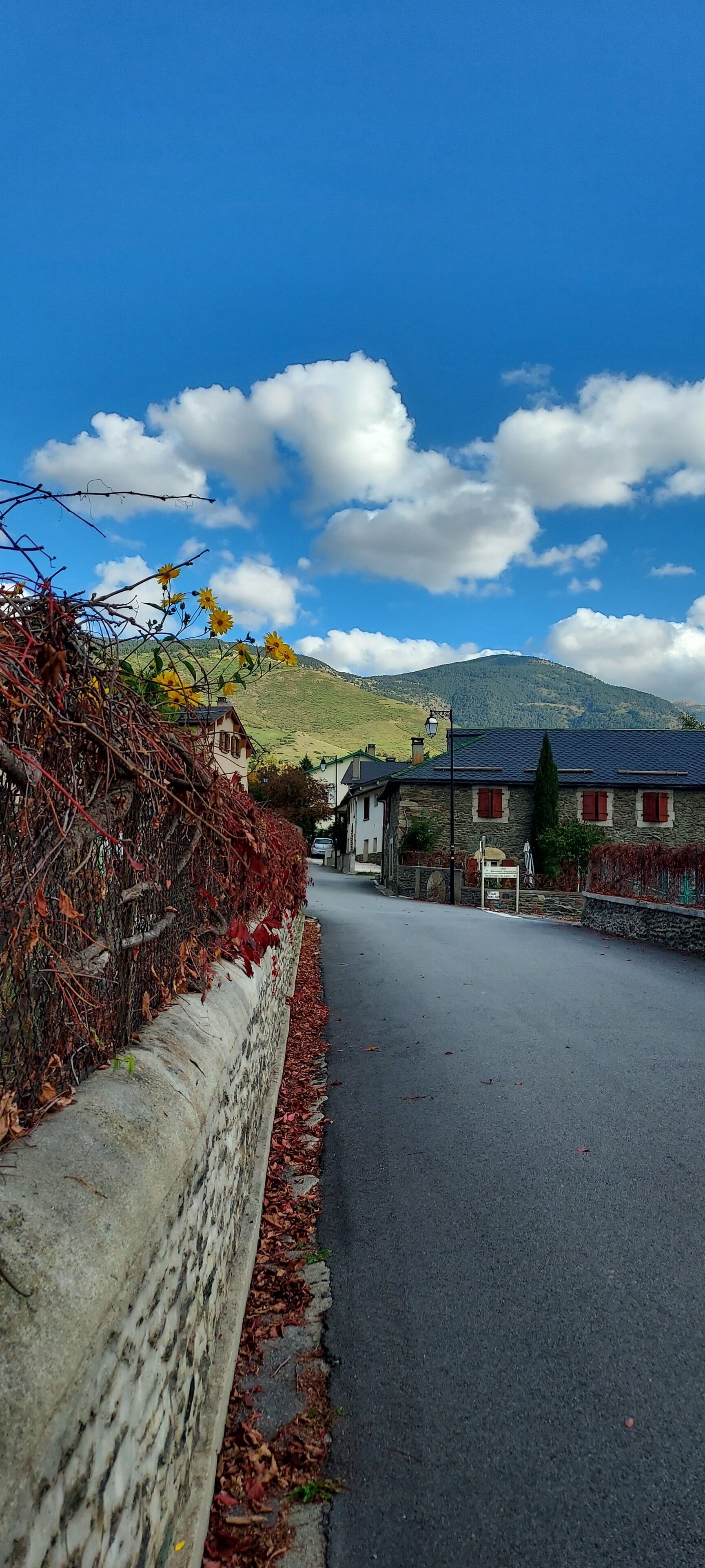 A road with a stone wall on one side and a building with red shutters in the background.