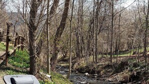 Two outdoor lounge chairs by a stream in a wooded area. - Charming holiday rental apartment in the beautiful Pyrenees of France (Err)