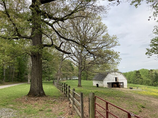 Property grounds - Tilt'n B Farm, Bunkhouse, on 75 acres! Views, Horses, Tennis, Trails, & Fire Pit (Mills River)