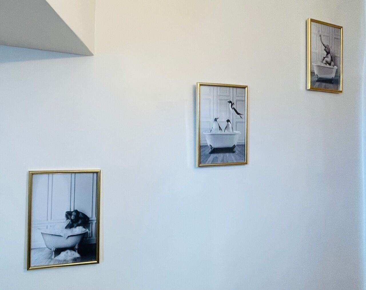 Trois photographies en noir et blanc, encadrées, sont accrochées au mur.
