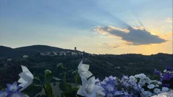 DĂ©tail de lâextĂ©rieur