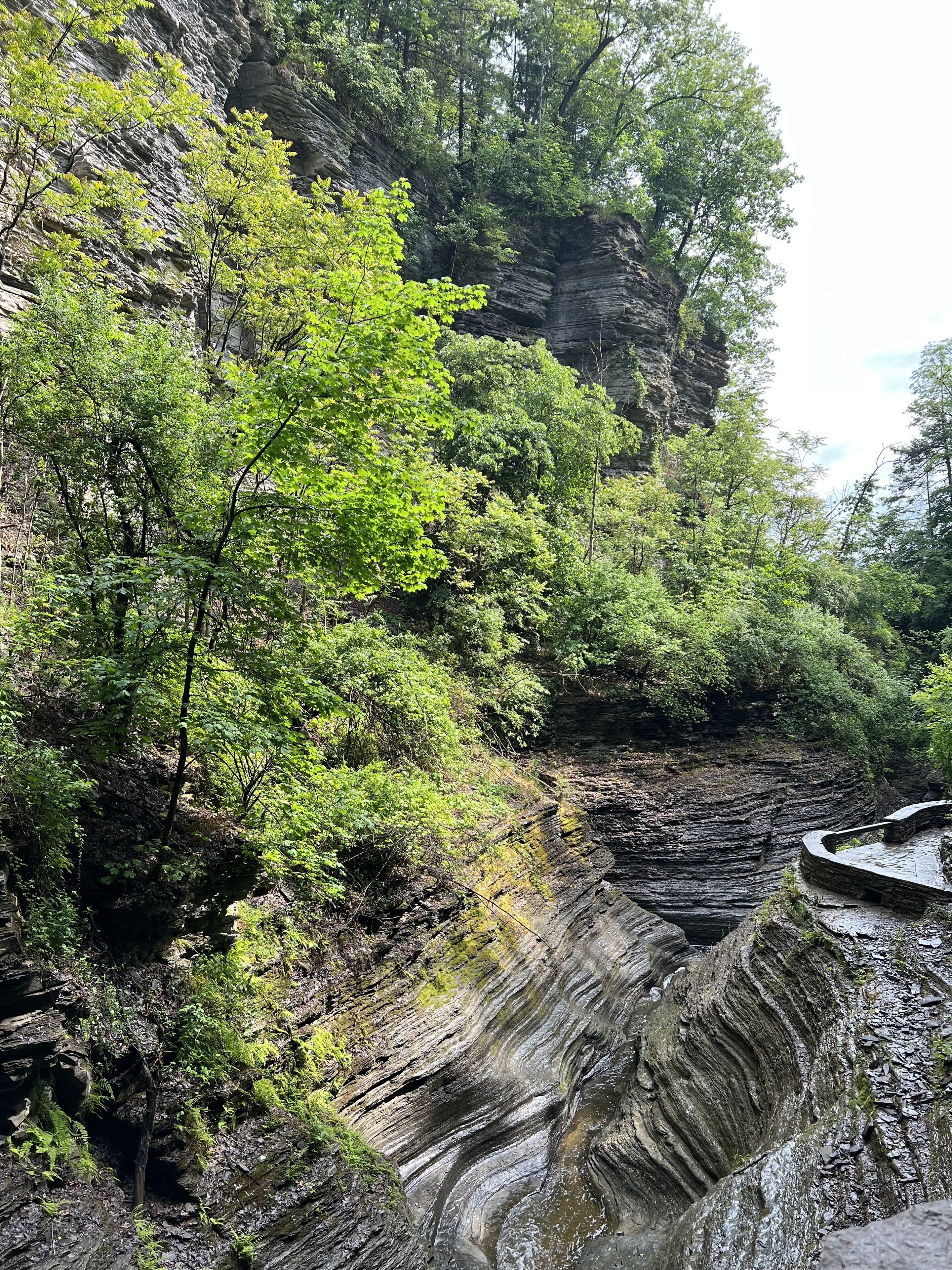 Eine natürliche Landschaft mit einer felsigen Klippe und einem Bach.