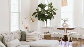 Älytelevisio, takka, kirjoja, tietokoneen näyttö