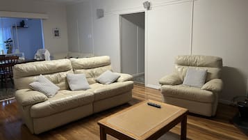 Smart TV, fireplace, DVD player, books