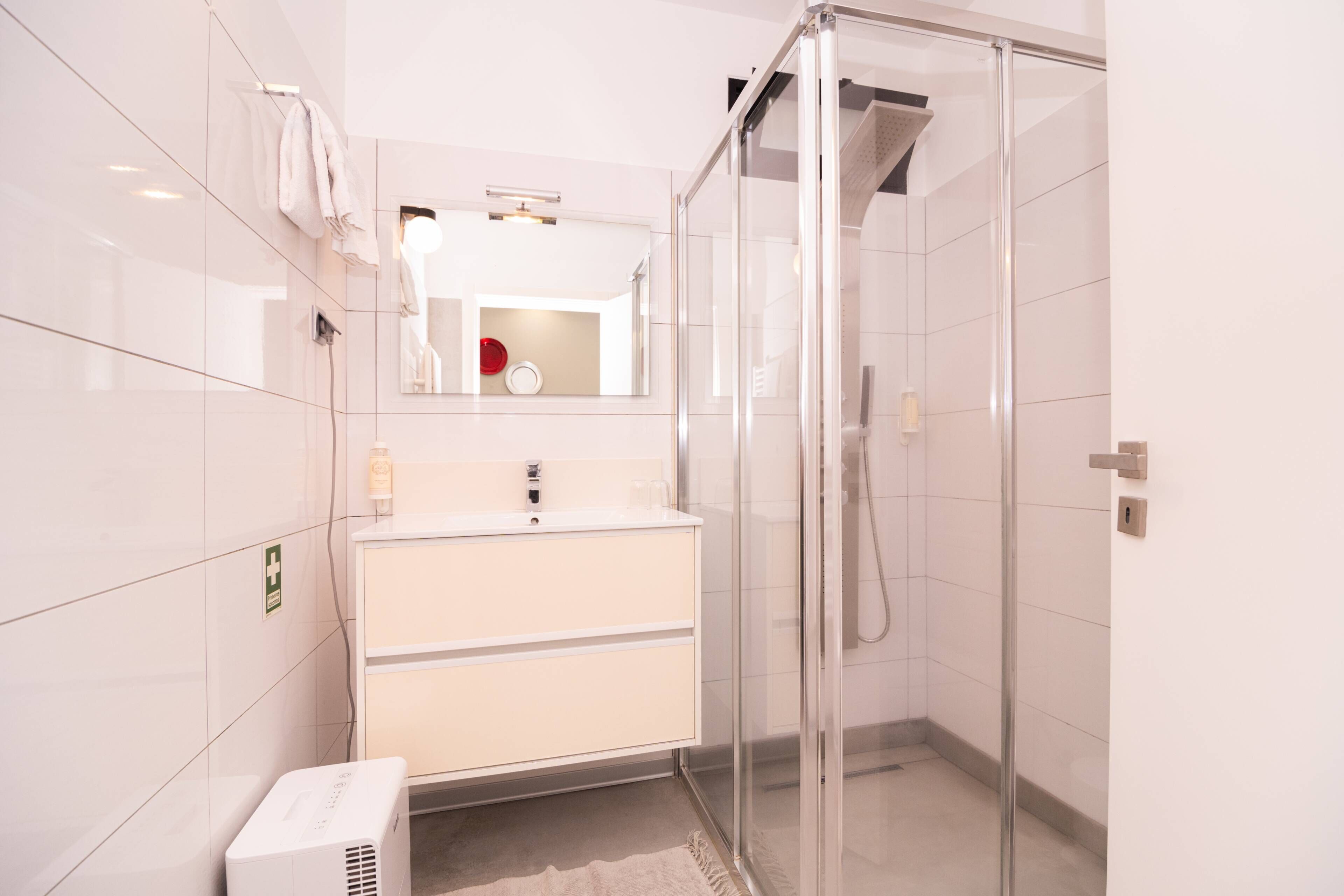 A modern bathroom with a glass shower enclosure, a white sink, and a mirror above the vanity.