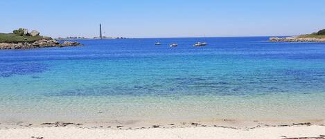Tæt på stranden, fiskeri
