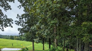 Uma trilha de pedra serpenteia por um jardim com lago, cercado por árvores e um campo gramado.