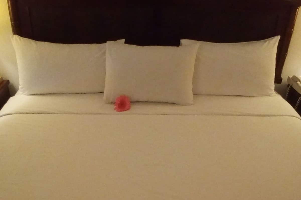 A neatly made bed with white linens and a single red flower.