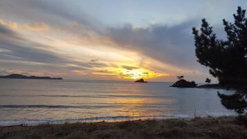 A coastal sunset with calm waters, a distant island, and a tree-lined foreground.