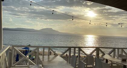 Ocean Front 1st FL Poolside 2bd/2ba Posh Condo^Playa Alisha Beach^