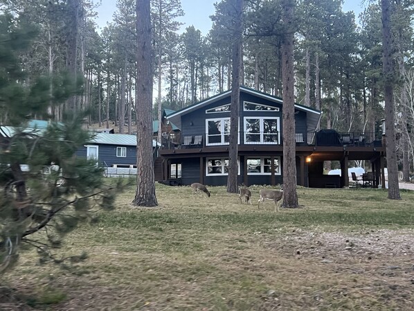 Exterior - Trailer & Parking Friendly, 24x56  Garage, 5-bedroom, 3-bath, Newly renovated! (Lead)