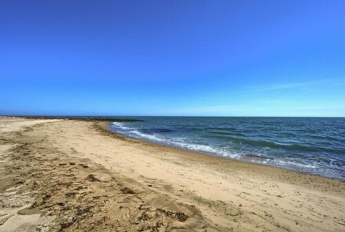 Modern & Renovated Studio Condo (Steps to the Beach!) - Pool, WiFi, Free Parking