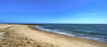 Modern & Renovated Studio Condo (Steps to the Beach!) - Pool, WiFi, Free Parking