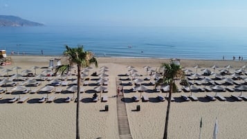 A beach with rows of sun loungers and palm trees, a clear sky, and the ocean.