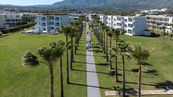 Un resort con un camino central bordeado de palmeras, rodeado de edificios blancos con balcones.