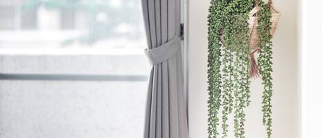 Una ventana con cortinas grises y una planta colgante con hojas caídas.