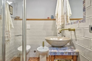 Shower, hair dryer, bidet, towels