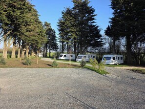 Property grounds - Tall Pines Lodge - Dog Friendly, Nr Sutton on Sea (Sutton on sea)