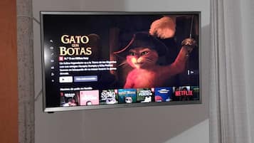 TV