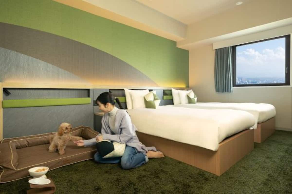 Tallelokero huoneessa, työpöytä, pimennysverhot, silitysrauta/-lauta