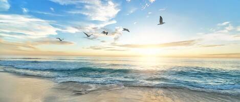A beach with waves and birds flying in the sky.
