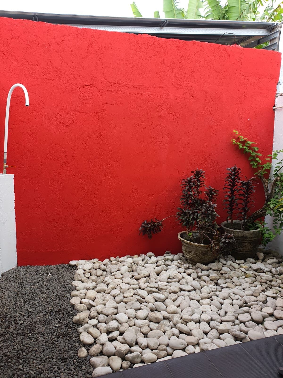 A red wall with a white pipe, a black surface, and potted plants.