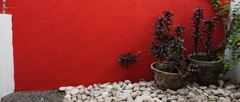 A red wall with a white pipe, a black surface, and potted plants.