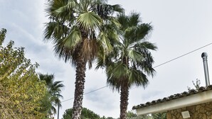 A patio area with stone flooring, outdoor furniture, and palm trees. - Agriresort Villa Bentivoglio (Piazza Armerina)