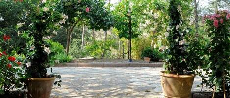 A paved garden pathway with potted plants on either side, surrounded by lush greenery and trees.