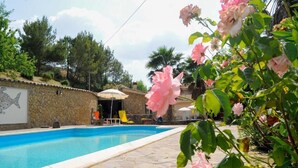 A swimming pool with stone tiles, surrounded by greenery and a stone wall with a fish mural. - Agriresort Villa Bentivoglio (Piazza Armerina)