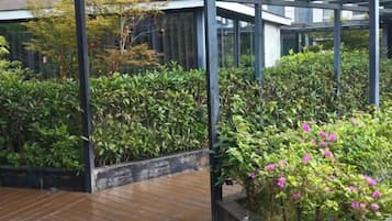 A conservatory with glass walls, wooden flooring, and various plants.
