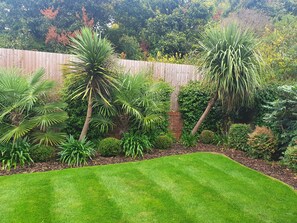 Surrounded by lush greenery, this serene garden offers a peaceful retreat.