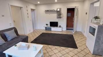 TV, fireplace, table tennis