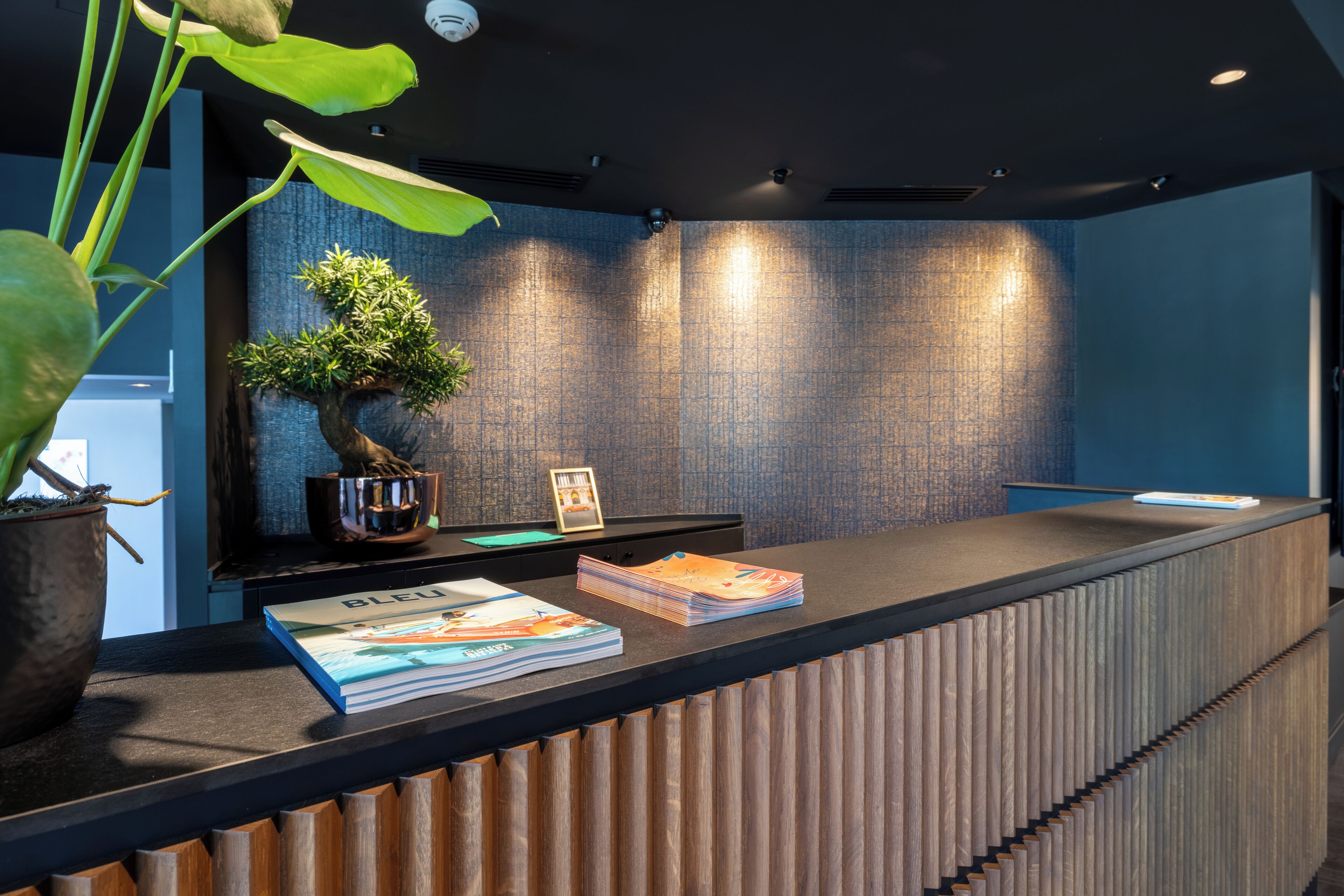 A reception desk with a plant, a framed picture, and magazines.