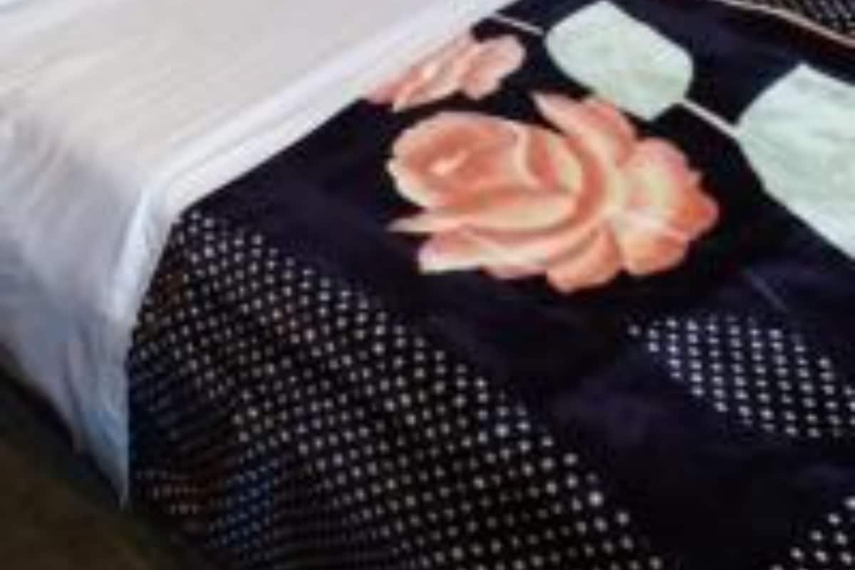 Desk, laptop workspace, free WiFi, bed sheets