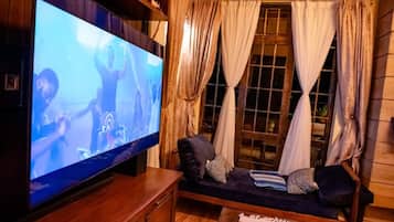 Television
