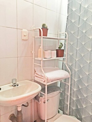 Apartment, 1 Bedroom, Accessible, Smoking | Bathroom shower