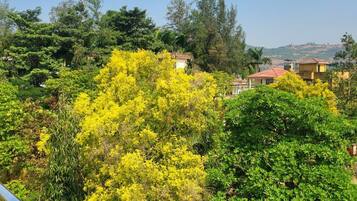 Apartment, 5 Bedrooms, Accessible, Smoking | Property grounds