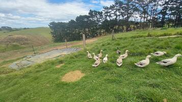Overnatningsstedets område