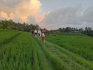 Um grupo de pessoas caminhando por um campo verdejante, com uma casa ao fundo.