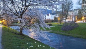A river with cherry blossoms, a bridge, and buildings in the background.