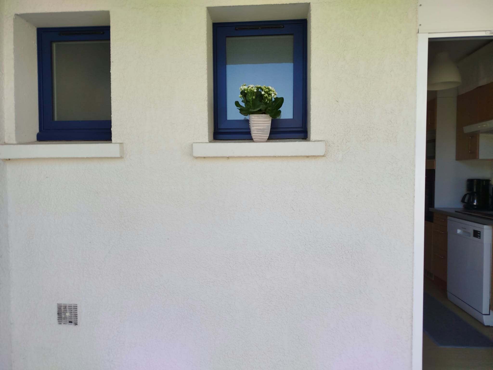 A building facade with three windows, one of which has a plant.