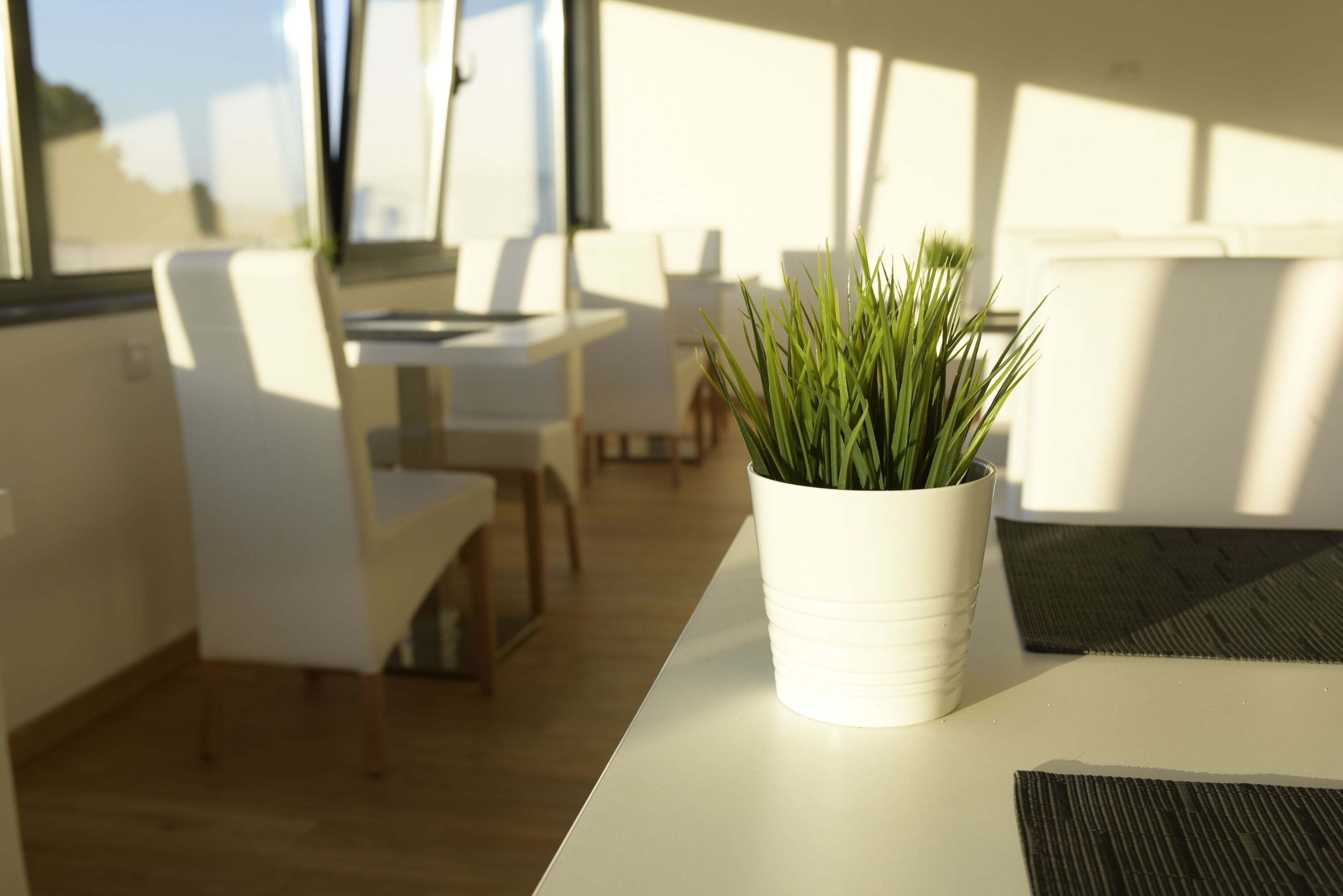 Un interior moderno con una mesa blanca, una planta en maceta y un comedor con sillas y una mesa blancos.